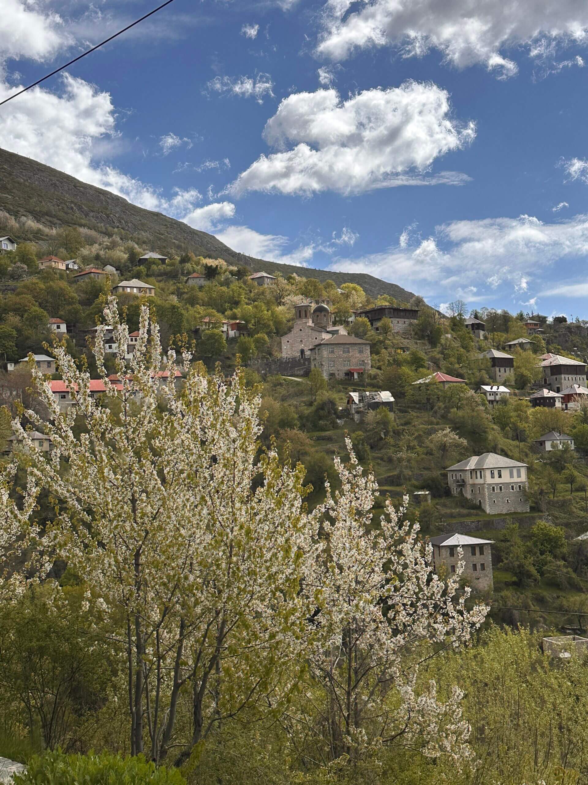 Blick auf Bergdorf mit Häusern am Hang und Baum in Vordergrund im Mavrovo Nationalpark