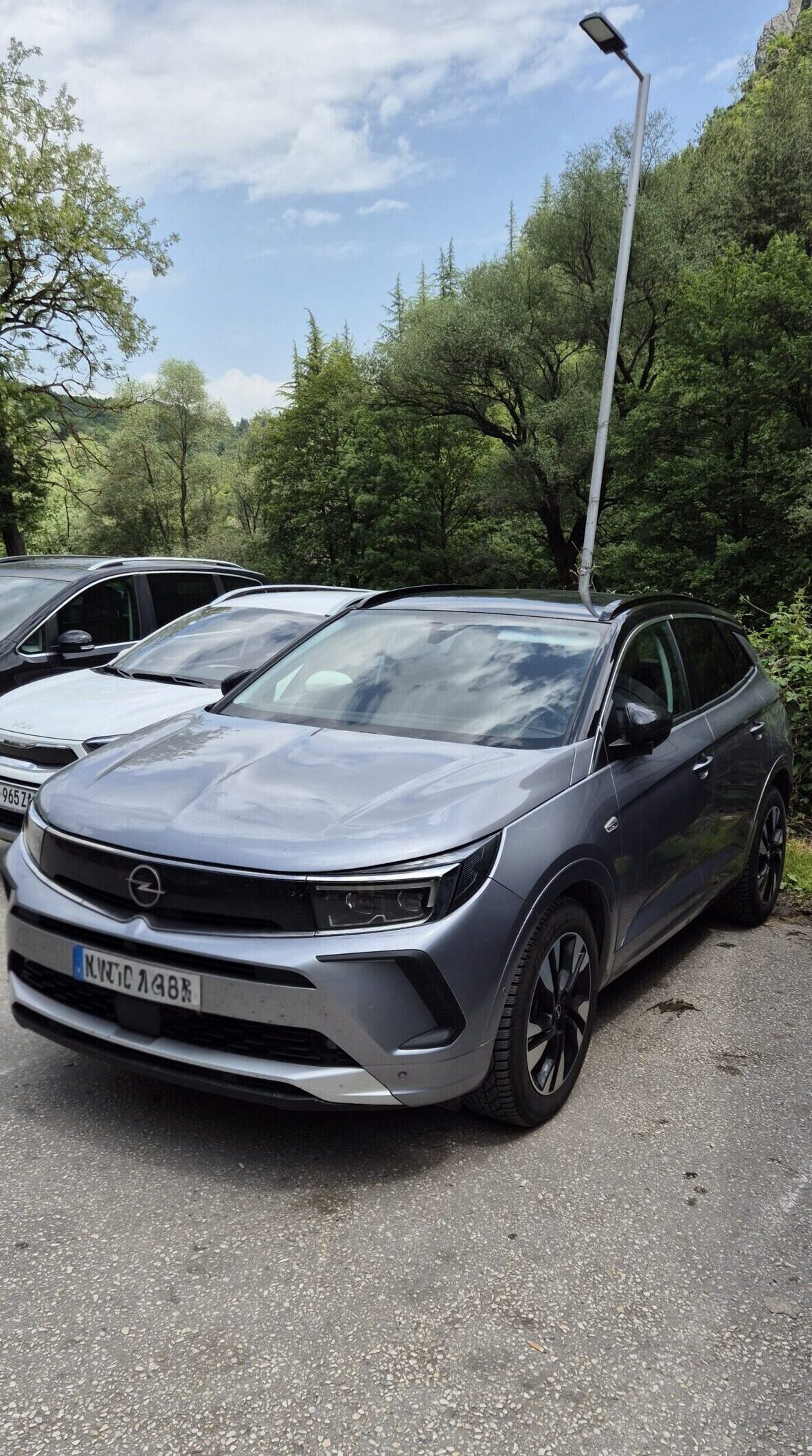 Grauer Mietwagen auf Parkplatz vor Wald