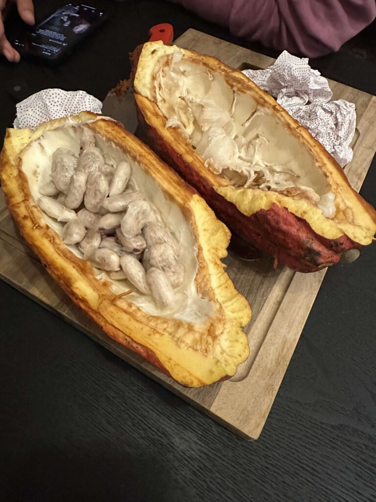 Aufgeschnittene Kakaofrucht mit Fruchtfleisch um Kakaobohnen auf Holzbrett