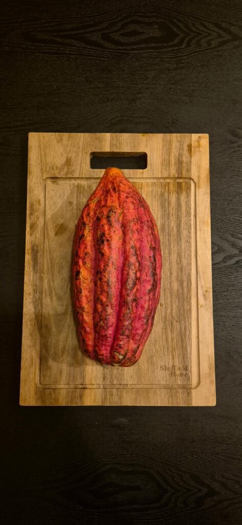 Ganze Kakaofrucht auf Holzbrett auf Holztisch von oben