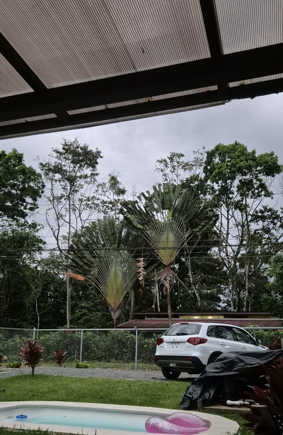 Garten mit Zaun. Palmen und Mietwagen bei der Amor Volcánico Unterkunft in La Fortuna, Costa Rica